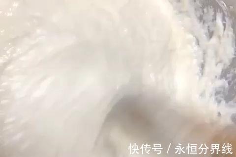美食|煎饼-自觉完美的煎饼(电饼铛美食)