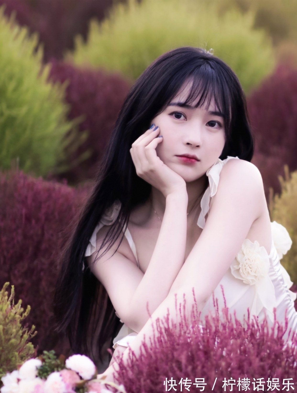 吟怀!诗·十二首丨人近丛林惊鹊鸟,菊斟满盏煮诗心