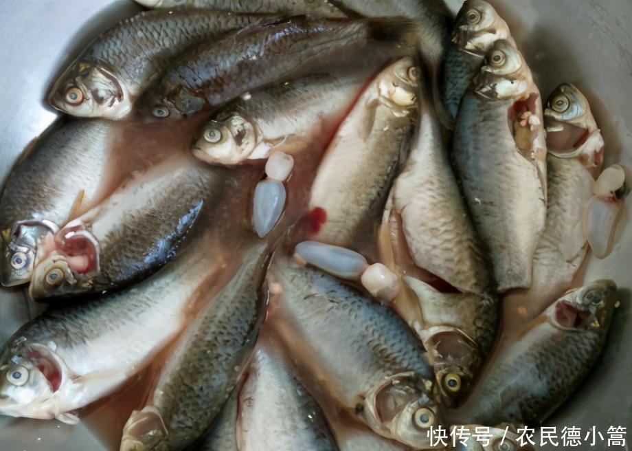 大厨|炸小鱼时，有人裹粉有人挂蛋液，大厨：教你正确做法，香酥不回软