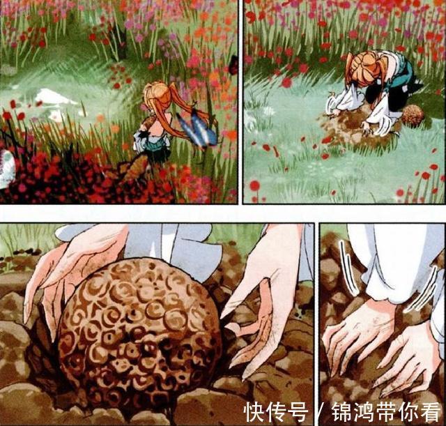 白沉香|斗羅大陸：白沉香成為“戰隊主力”很開心，一個動作讓玉天恒流汗