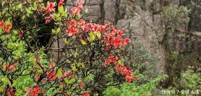 广东有一处冷门风景区，云雾似仙境，不知人多！