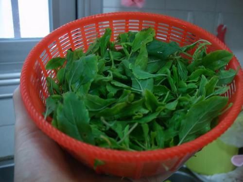 中药|我家的下饭菜，就好这一口，简单炒炒就上桌，回回都光盘