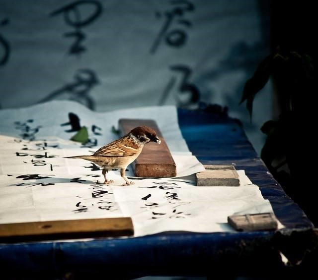 中医学|张仲景自豪一生的“安眠方”!治虚烦失眠、忧郁失眠,应该用心学