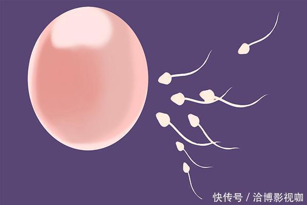 绝经|25天来月经和35天来的女人,有什么区别?哪种老的速度会更快?