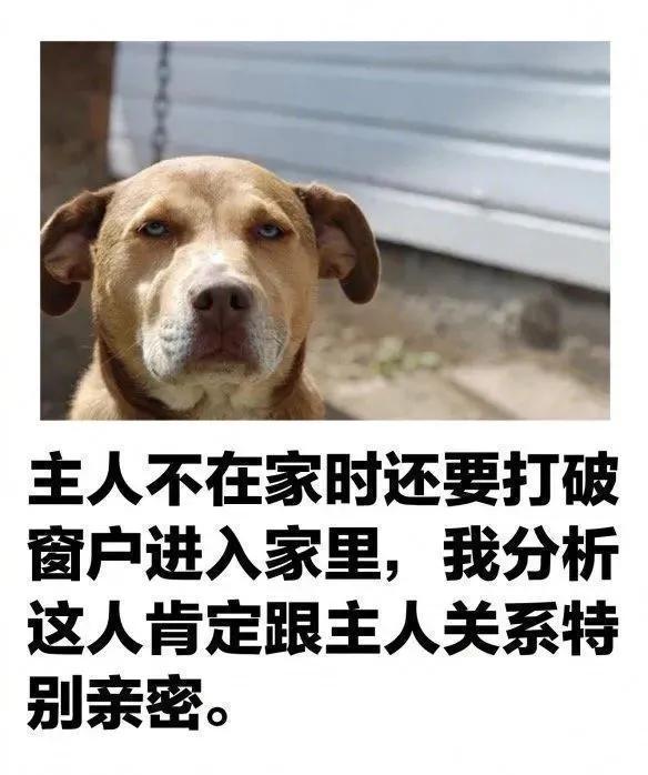 |幽默笑话:什么罩杯?