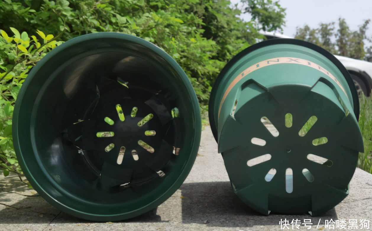 花友|塑料花盆的实用性,挑选花盆养花的规则,你知道吗?