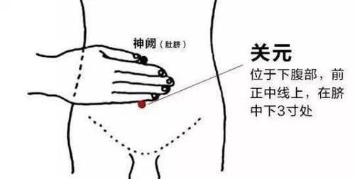 三阴交穴|男女各有一个“长寿穴”补肝补气血，祛湿又助眠有空就按按