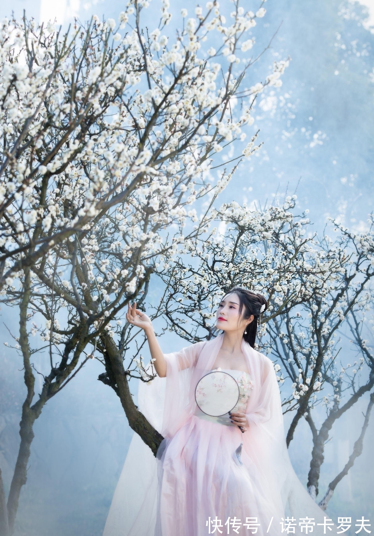 山河故人#独孤抒情独自泪,几朵梅落惹伤悲