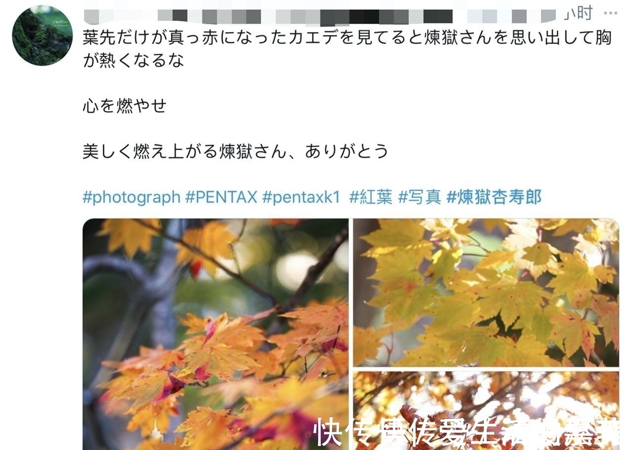 cos|日本全民都在cos鬼灭之刃!木村拓哉也加入?这个炎柱太像了