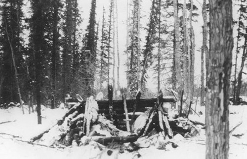 騎警|史上最強逃犯負重72斤跑得比狗還快,80年來真實身份成謎