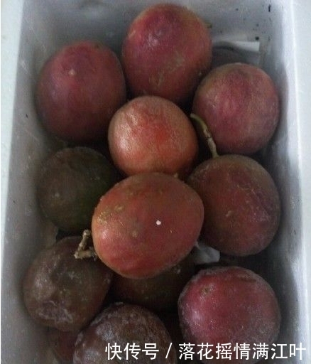 1箱水果变成1箱“冰淇淋”?老板哭诉:赔翻了,忘了这个“雷”