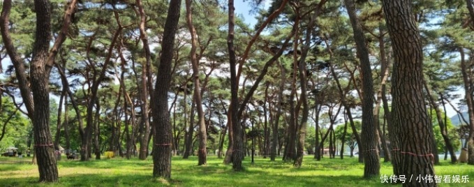 小石塔|夏天也想走的路 就是这里