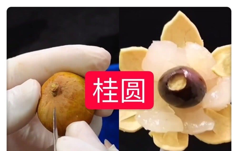 VS|水果皆可“雕刻”草莓VS火龙果,看到香蕉涨价就怪你