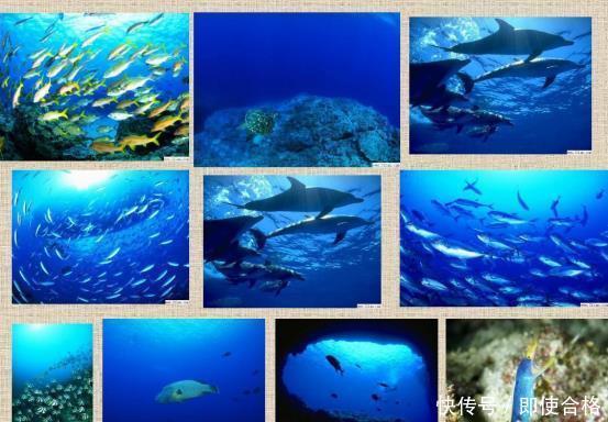 好消息 南海再传好消息!海牛2号成功潜入海底,创造纪录引国际轰动