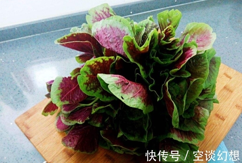 长寿菜|这种野菜一身都是宝，农民总是吃叶子，却不知根的价值才最高！