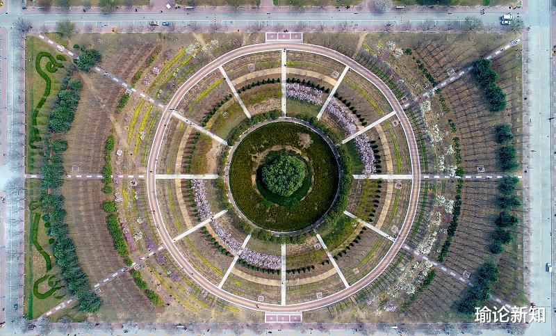 猛兽总是独行，牛羊才成群结队，这是「华盖星」个性十足的座右铭
