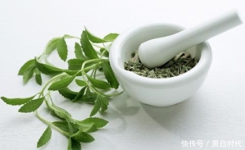 经常用马齿苋煮水喝,4件好事不请自来,从现在开始喝还不晚