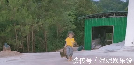 步伐|“山大王宝宝”手拎母鸡,走出六亲不认的步伐,网友:王者归来?