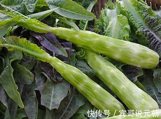 冤家|糖尿病的“冤家”被找到了，经常吃一点，稳定血糖，远离并发症！