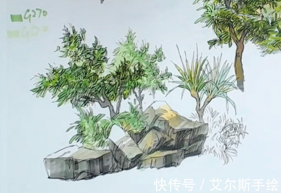 颜色|「艾尔斯马克绘」用马克笔如何画出栩栩如生的植物呢？