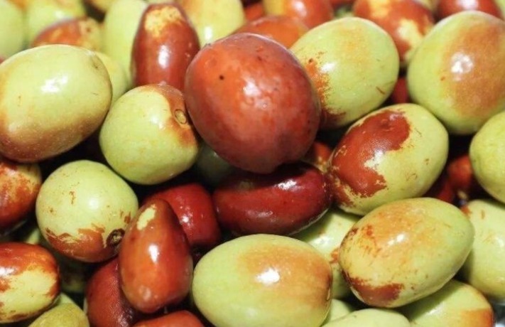 月经|女性经常吃“金枣”，妇科病“不敢扰”，还能防女性卵巢癌！