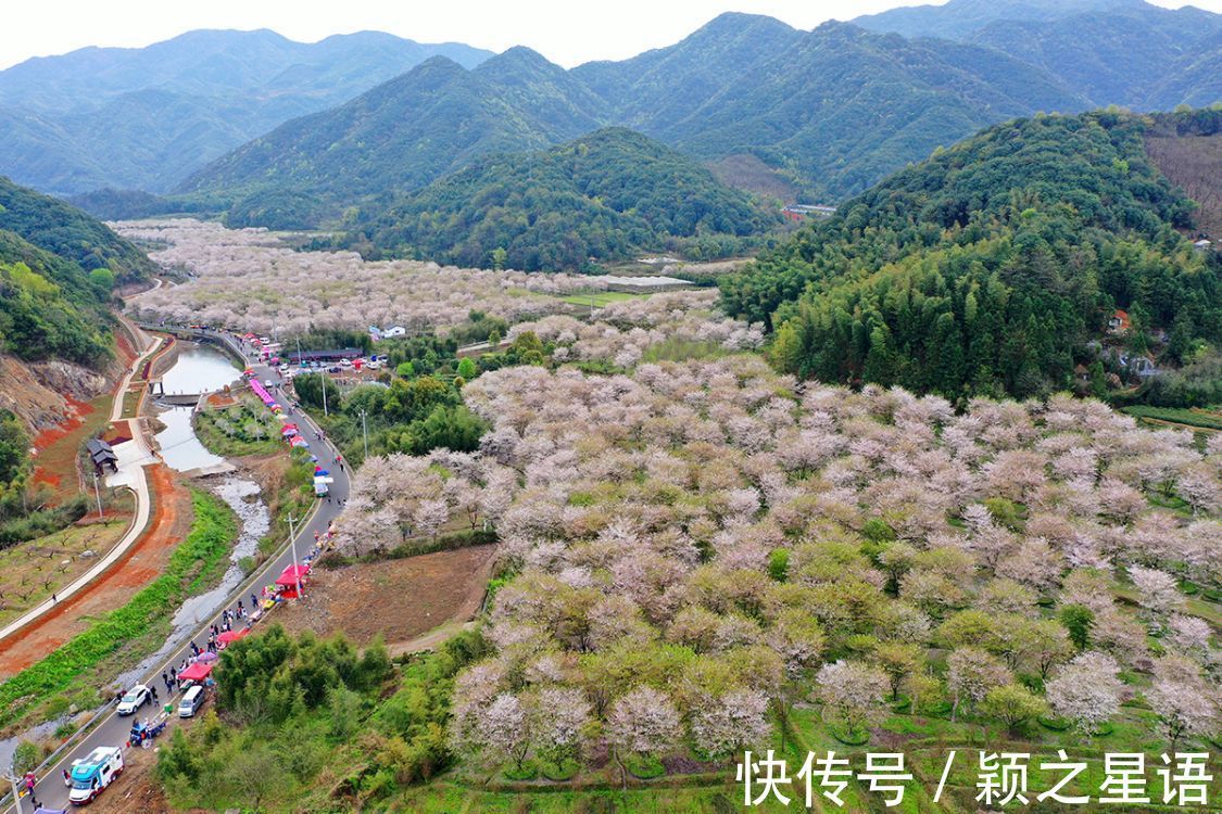 水库|错过了今年的红杉林，留待来年，美景仍复现！