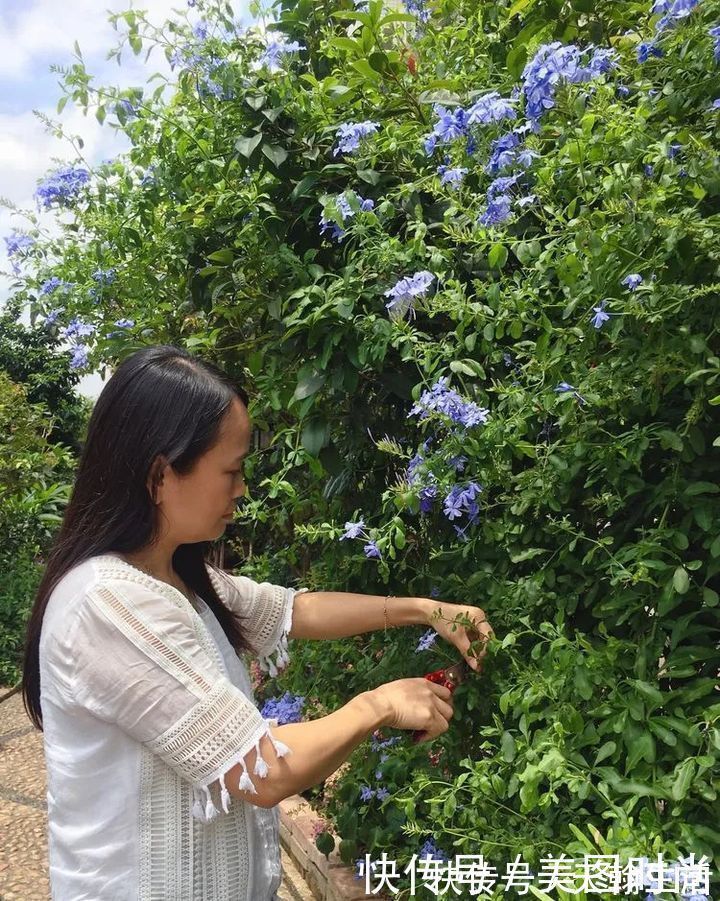 城市|在城市近郊买个40㎡的院子，闲暇时种种花草做做美食，惬意啊！