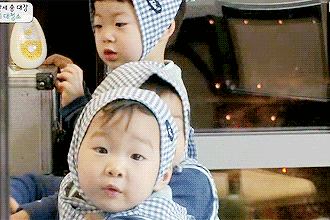 顺序|老大、老二、老三哪个更聪明?