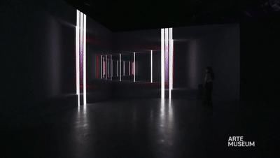 永恒的自然：韩国沉浸式新媒体艺术作品展