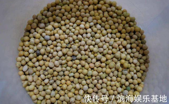 养花|7种“垃圾”不是废物,泡一下水,肥的流油,养花一级棒