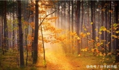 挨揍|巨人最终季:兽巨即将退役,与三大巨人密谋重夺“始祖巨人”,莱纳又要挨揍!