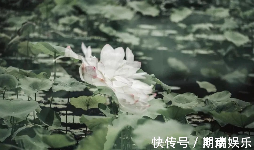 石钟山记@苏轼散文名句15则,学做人、学处世,你会受益无穷