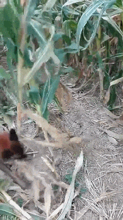 骑自行车|我在这里抽了两支烟,都没弄明白我输在哪里