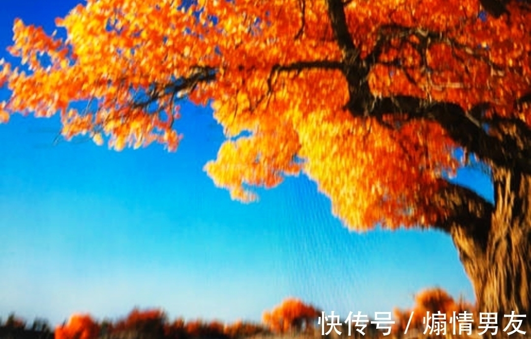 诗词@「诗词欣赏」古人以诗写秋景,触景生情情不同