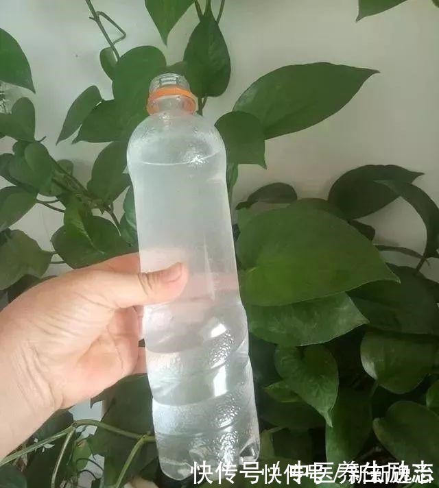 复合肥|养花必备“3种肥”,啥花都能用,每月花盆撒一点,嗖嗖爆盆!