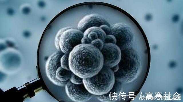 癌症|癌症患者术后，不可掉以轻心，做好这5个细节，降低癌症复发几率