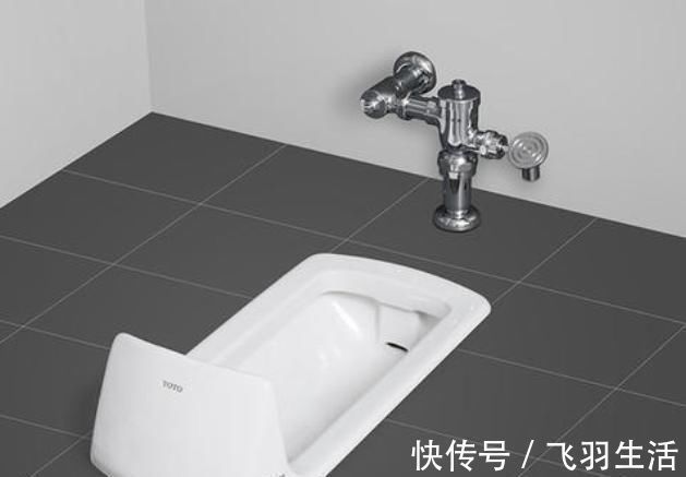 淋浴房|现在的年轻人装修房子,卫生间不再安装马桶,而是装它,干净多了