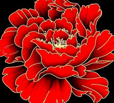 喜欢菊花不如养盆“精品牡丹”,美如胭脂,似花中仙子