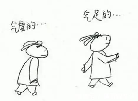 灵药|世间有种补气灵药,效果不逊于西洋参!价格却低到不敢想