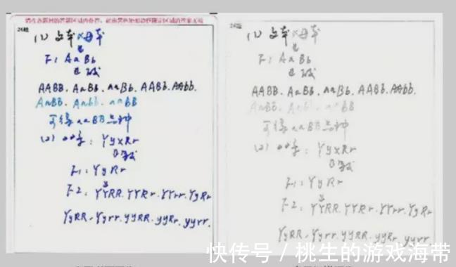 字体|高考神仙卷字体犹如印刷体，电脑阅卷很加分，有的宛如二维码成精