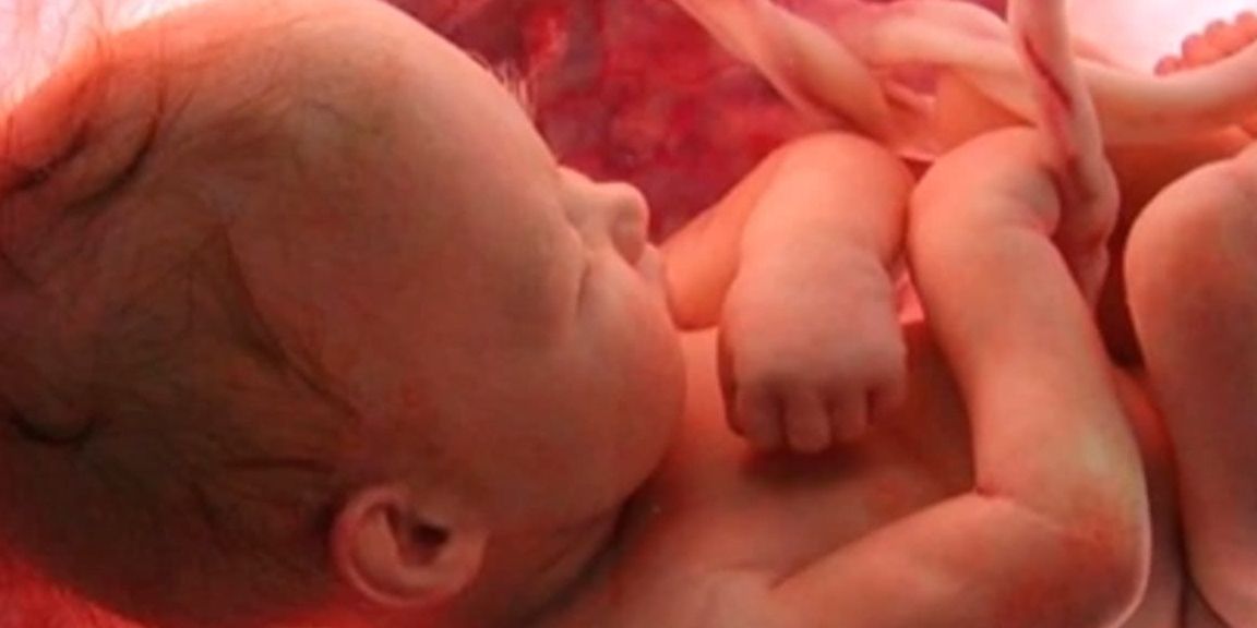 肚子|孕期肚子比人小,是不是妈妈吃的还不够多?答案可能和你想的不同