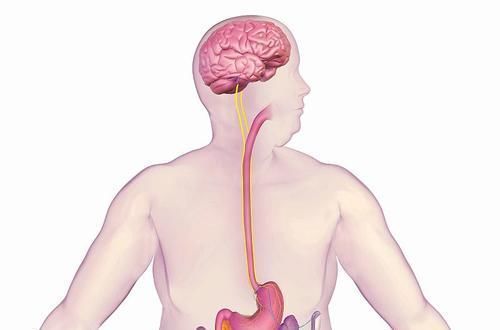 身体衰老|男人50岁后,身体若有3种功能下降,可能是更年期在“逼近”