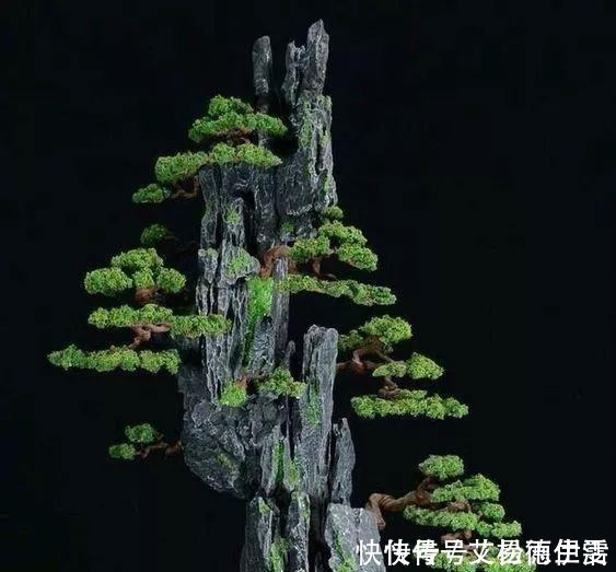 石头|大爷用石头来养花，越养越值钱，有人出1000块也不卖！