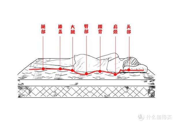 算法|618！这7种床垫千万不能买！
