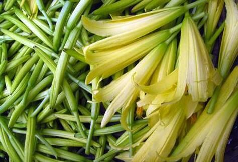 食鑒本草|這種菜比核桃還補腦，經常吃一點，有益血脂健康