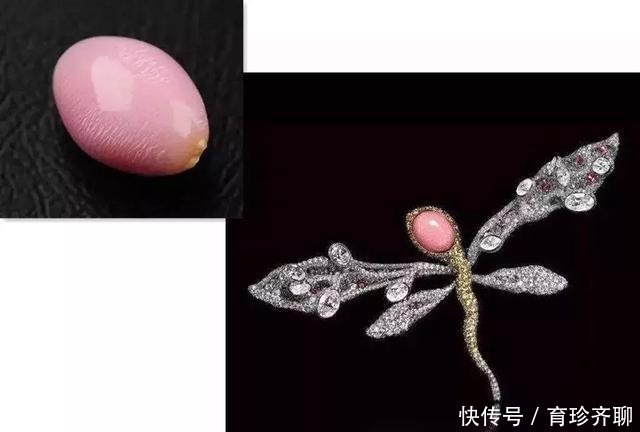 美乐珠|一颗珍珠卖上亿,世界上最负盛名的5件珍珠,长什么样?什么价?