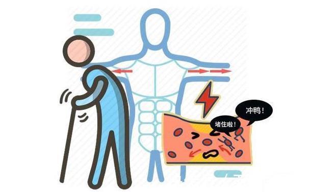 保护血管|血脂一高,全身遭殃?牢记2种食材,没事敞开吃,降低胆固醇