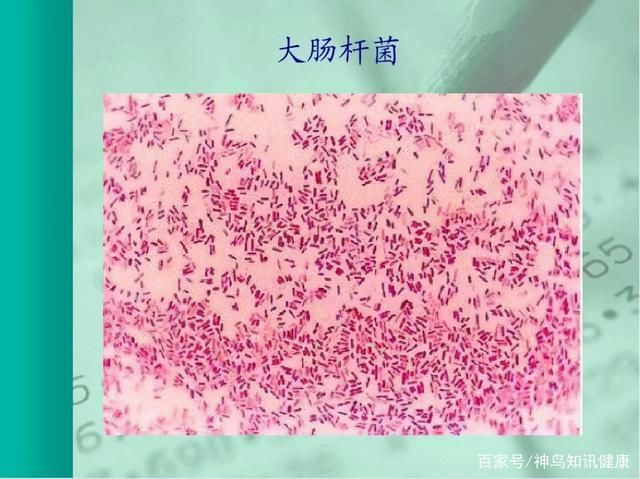 餐具|在外就餐，饭前用热水烫碗筷真的能消毒吗？告诉你到底靠不靠谱