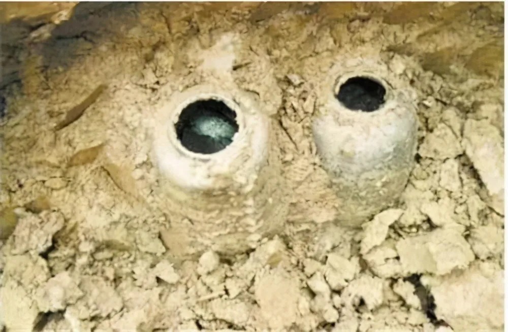 醒来|盗墓贼喝下墓中千年老酒：2天后醒来说了句话至今成笑柄...