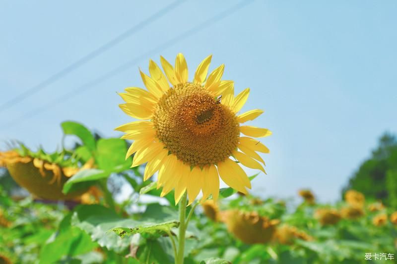 去重庆綦江觅一份山水间的清凉